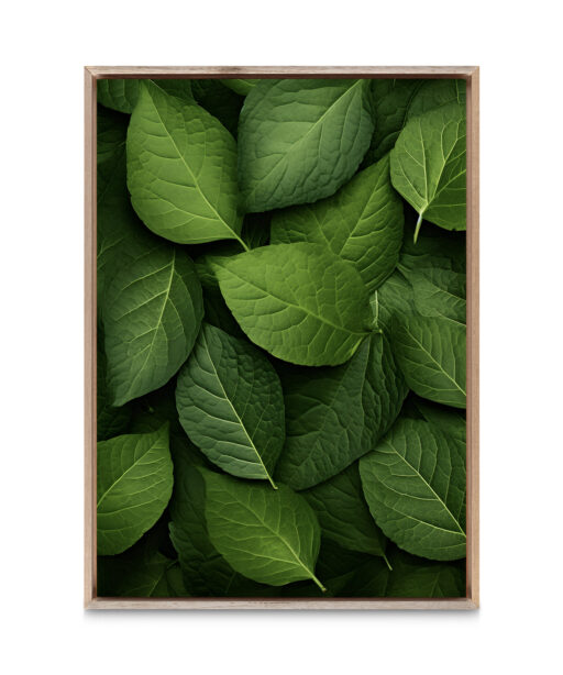 Layered Leaves 3 Flora FOLHAGENS_12 - Image 5