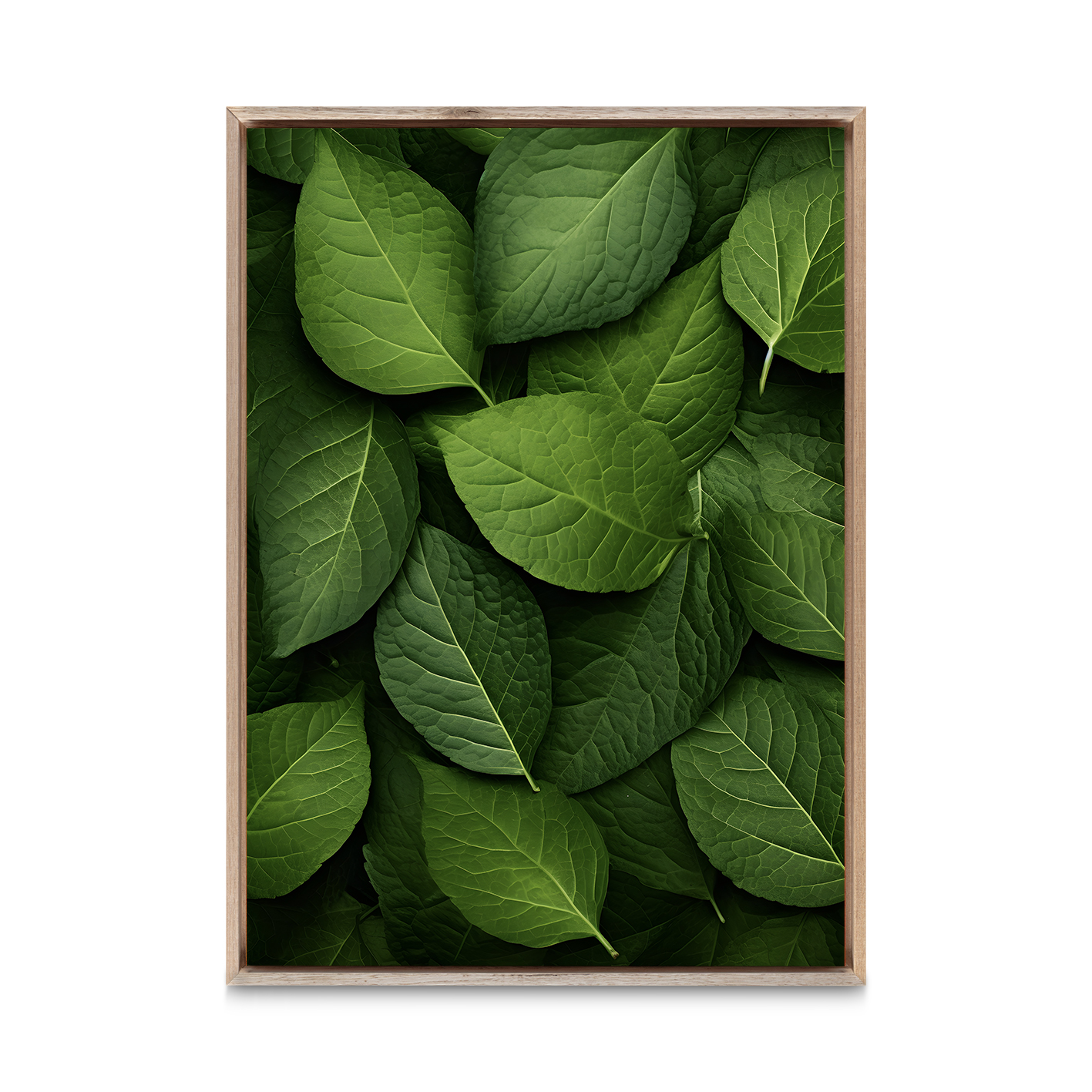 Layered Leaves 3 Flora FOLHAGENS_12 - Image 5