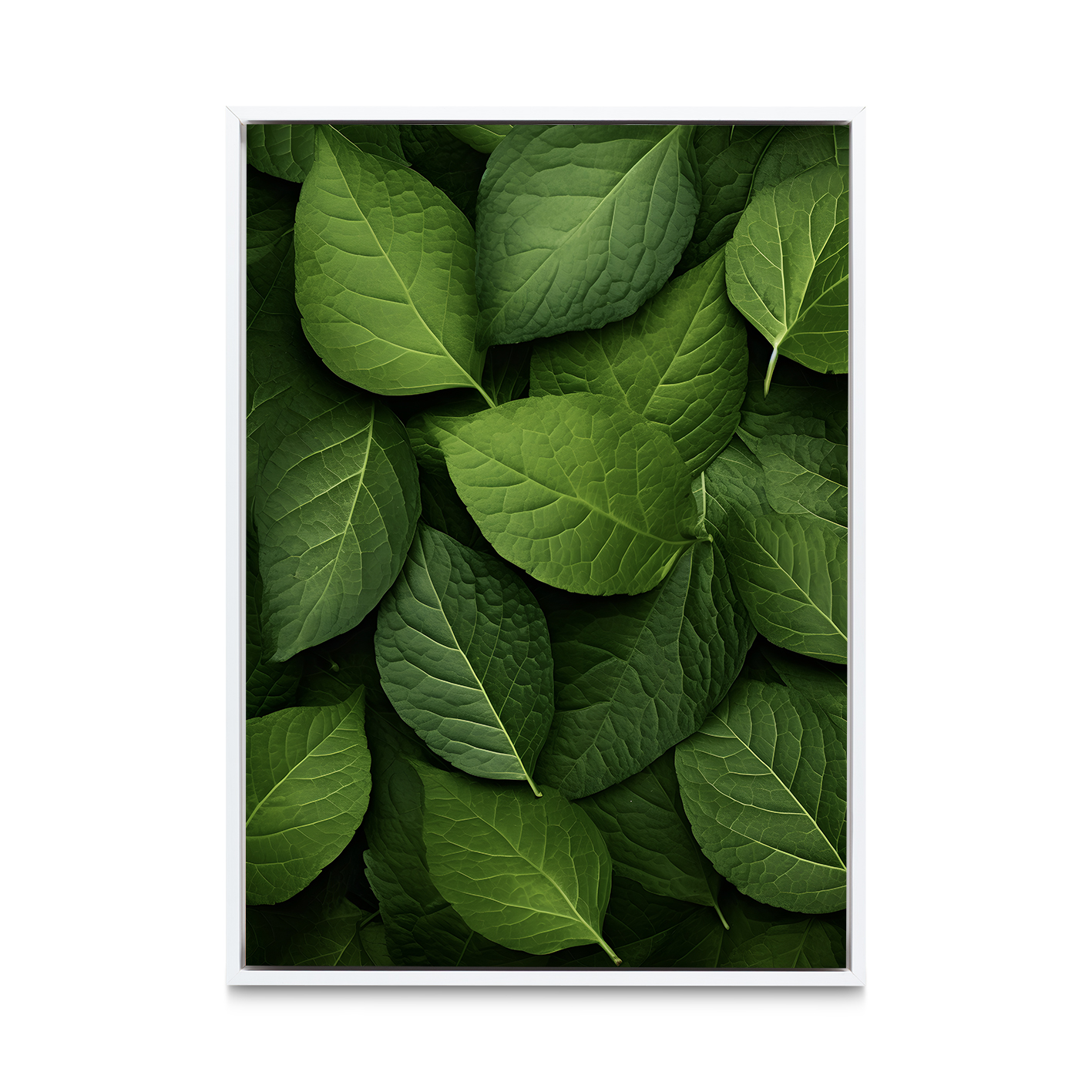 Layered Leaves 3 Flora FOLHAGENS_12 - Image 6