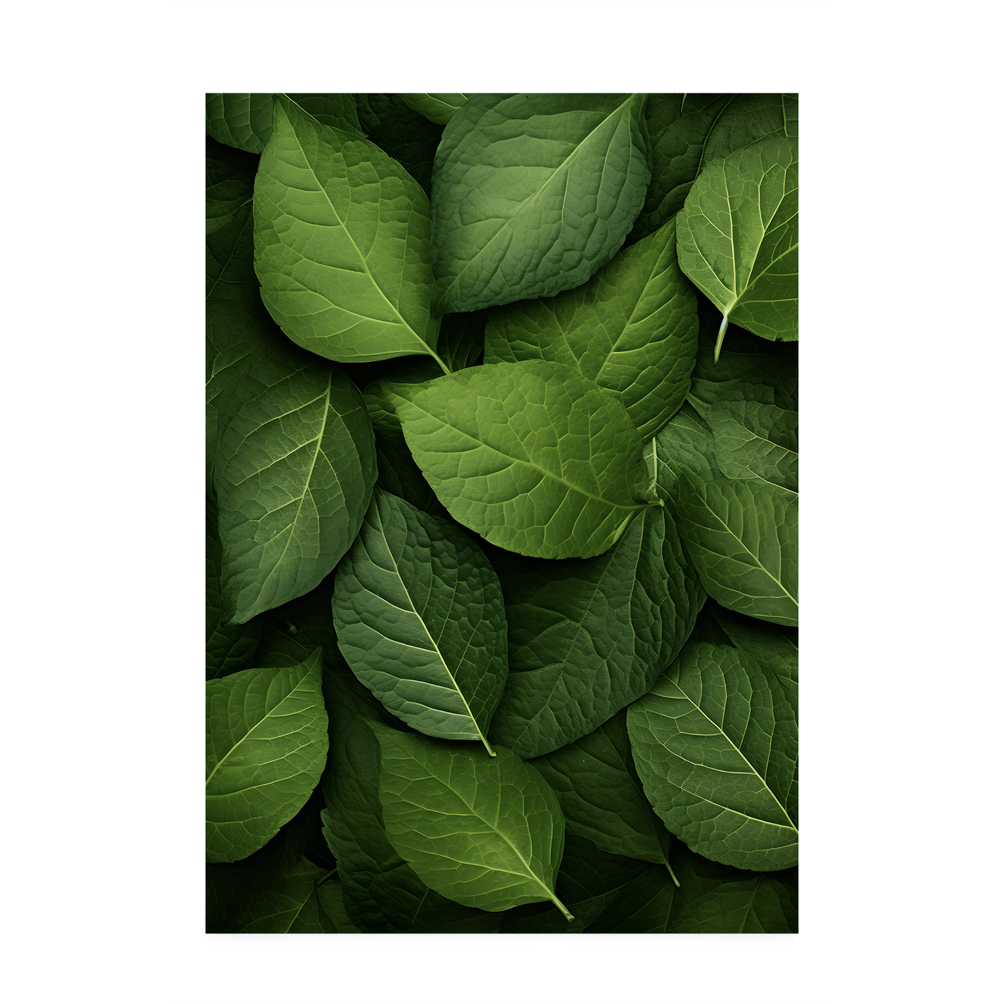 Layered Leaves 3 Flora FOLHAGENS_12 - Image 7
