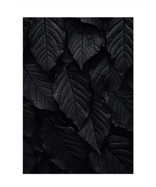 Back Leaf Flora FOLHAGENS_13 - Image 7