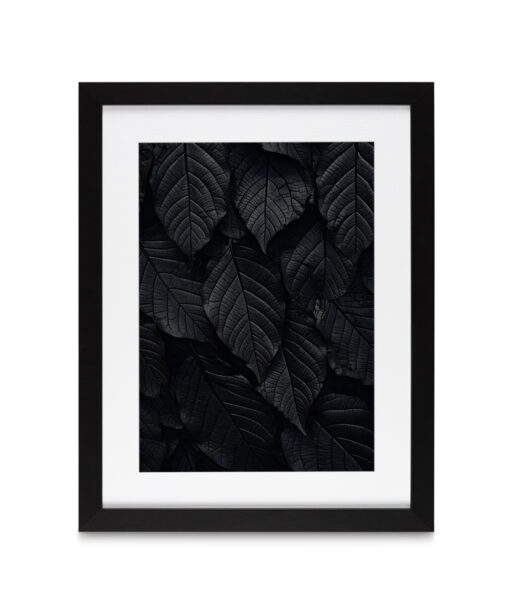 Back Leaf Flora FOLHAGENS_13 - Image 3