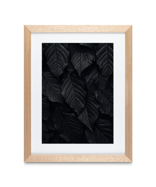 Alternative view of Back Leaf Flora FOLHAGENS_13
