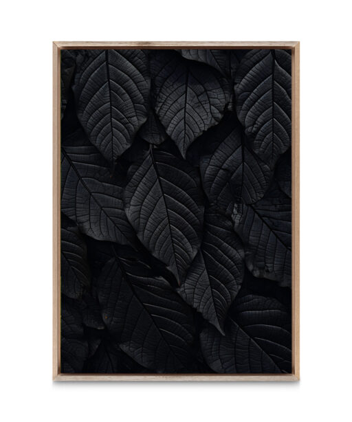Back Leaf Flora FOLHAGENS_13 - Image 5
