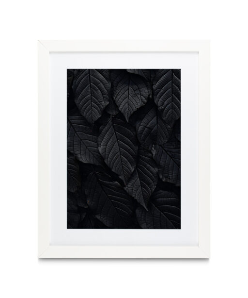 Back Leaf Flora FOLHAGENS_13 - Image 4