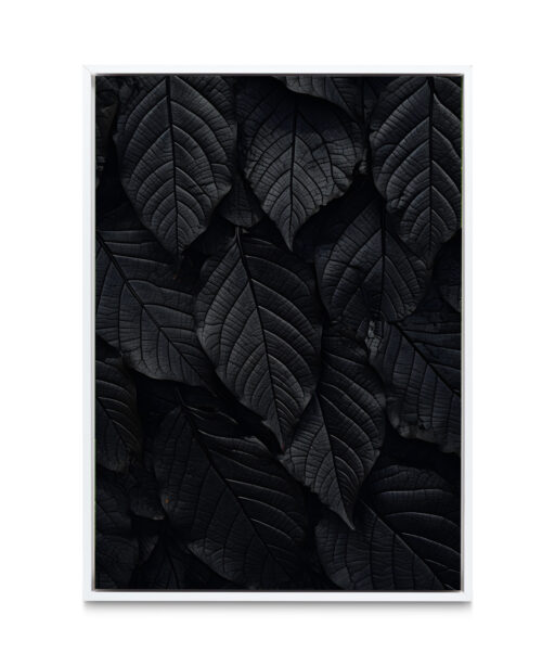 Back Leaf Flora FOLHAGENS_13 - Image 6