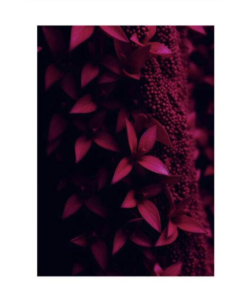 Dark Red Leaf Flora FOLHAGENS_14 - Image 4