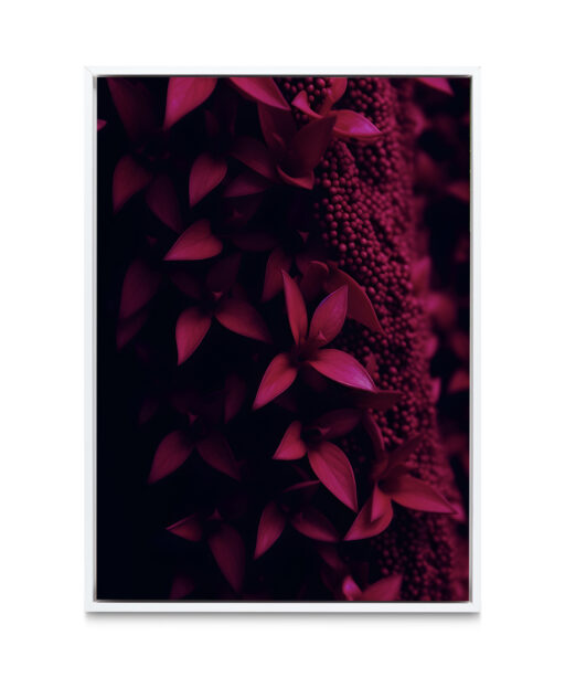 Dark Red Leaf Flora FOLHAGENS_14 - Image 3