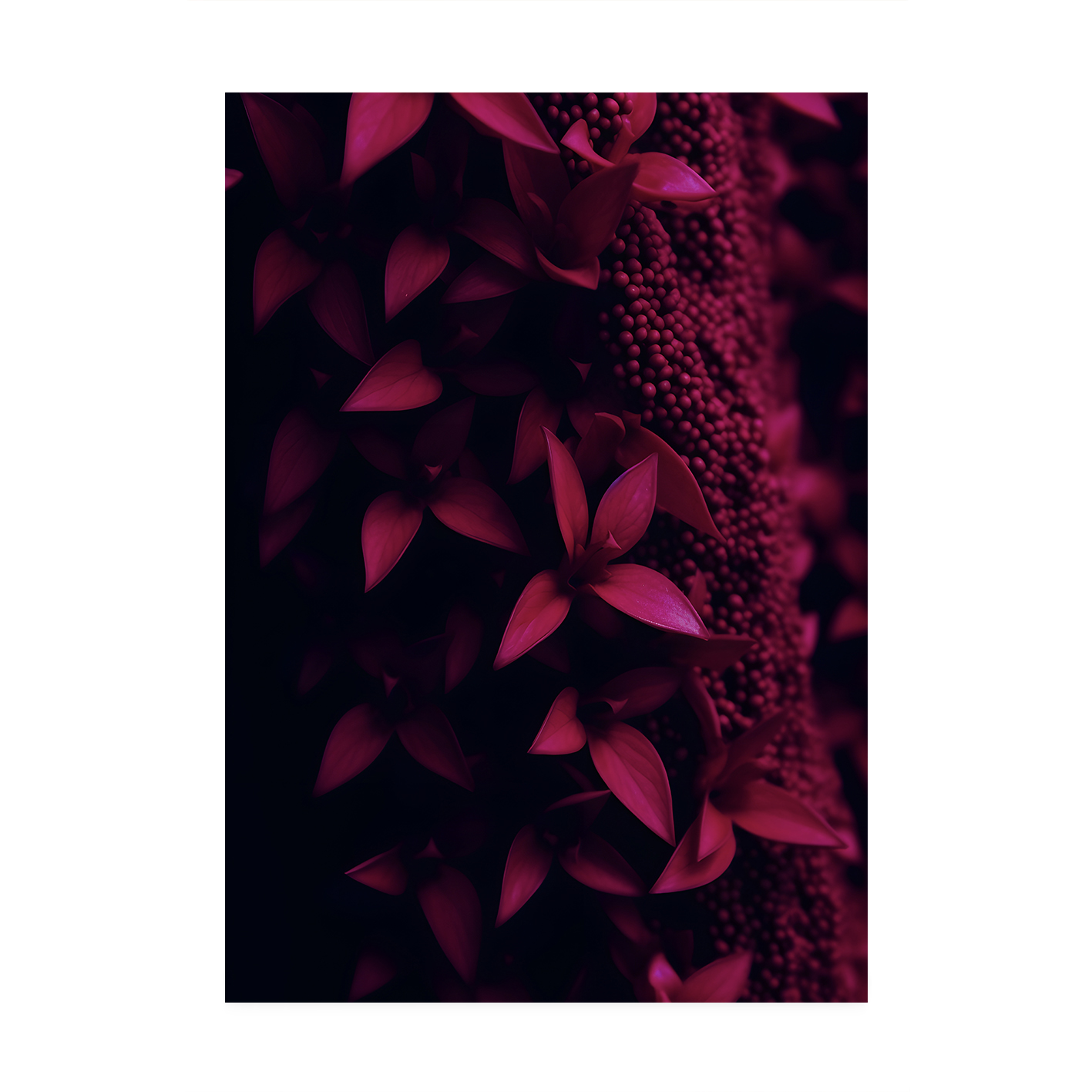 Dark Red Leaf Flora FOLHAGENS_14 - Image 7