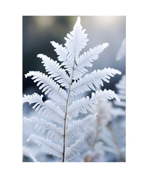 White Leaf Flora FOLHAGENS_18 - Image 7