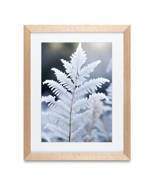White Leaf Flora FOLHAGENS_18 - Image 2