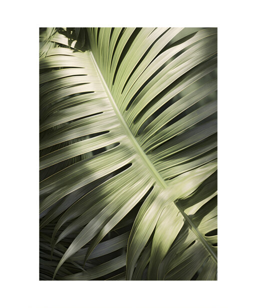 Large Palm Frond Flora FOLHAGENS_20 - Image 7