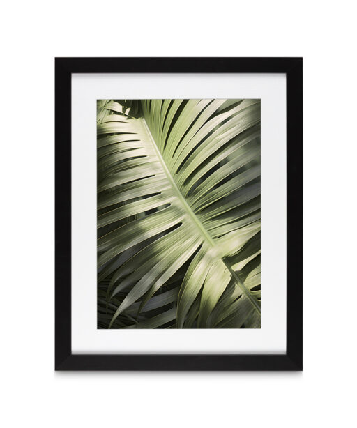 Large Palm Frond Flora FOLHAGENS_20 - Image 4