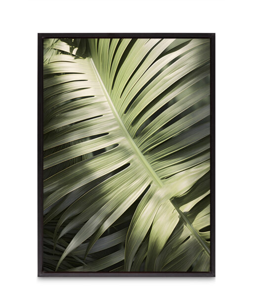 Large Palm Frond Flora FOLHAGENS_20 - Image 8