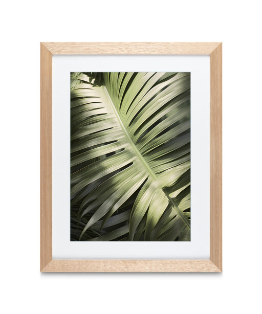 Alternative view of Large Palm Frond Flora FOLHAGENS_20