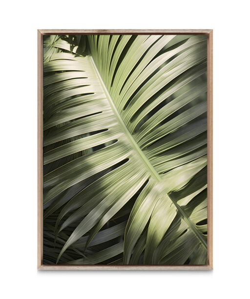 Large Palm Frond Flora FOLHAGENS_20 - Image 5