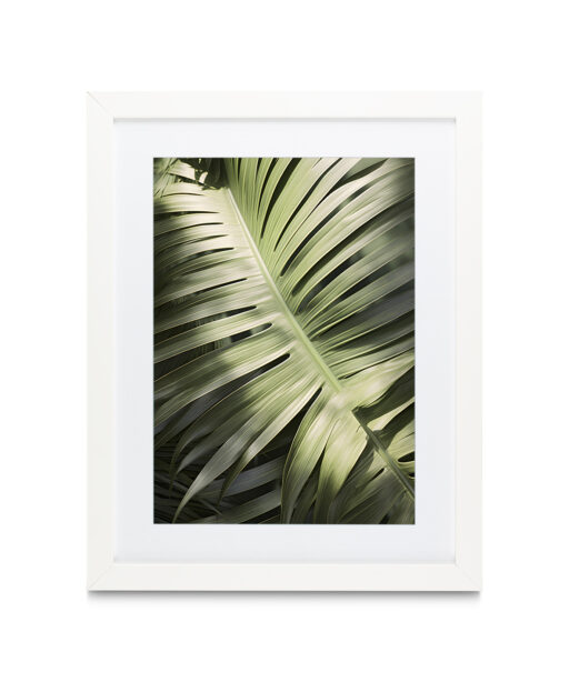 Large Palm Frond Flora FOLHAGENS_20 - Image 3