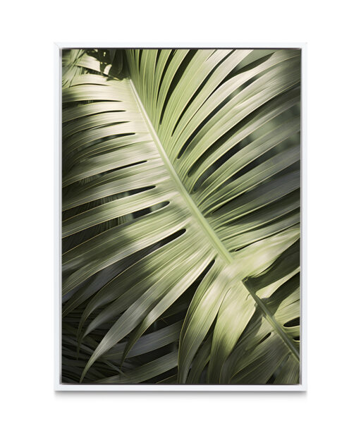 Large Palm Frond Flora FOLHAGENS_20 - Image 6