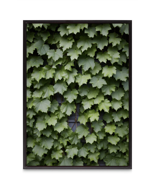 Boston Ivy Flora FOLHAGENS_23 - Image 8