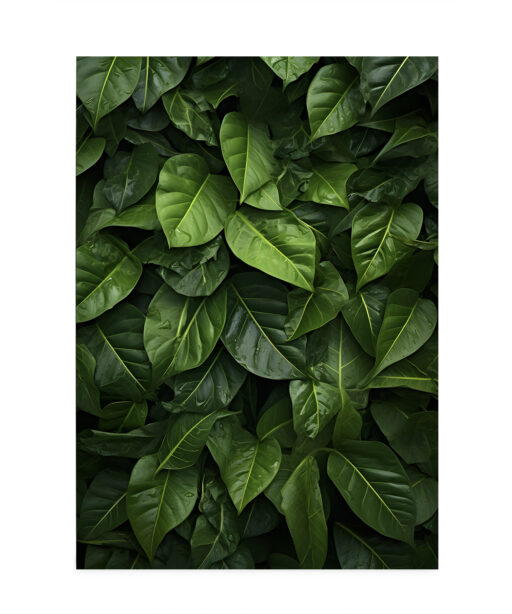 Layered Leaves 4 Flora FOLHAGENS_24 - Image 7