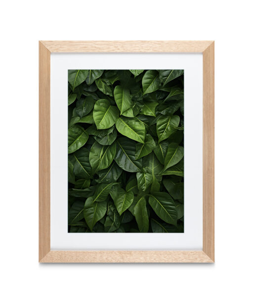 Alternative view of Layered Leaves 4 Flora FOLHAGENS_24