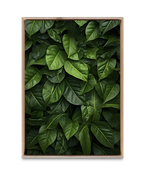 Layered Leaves 4 Flora FOLHAGENS_24 - Image 5