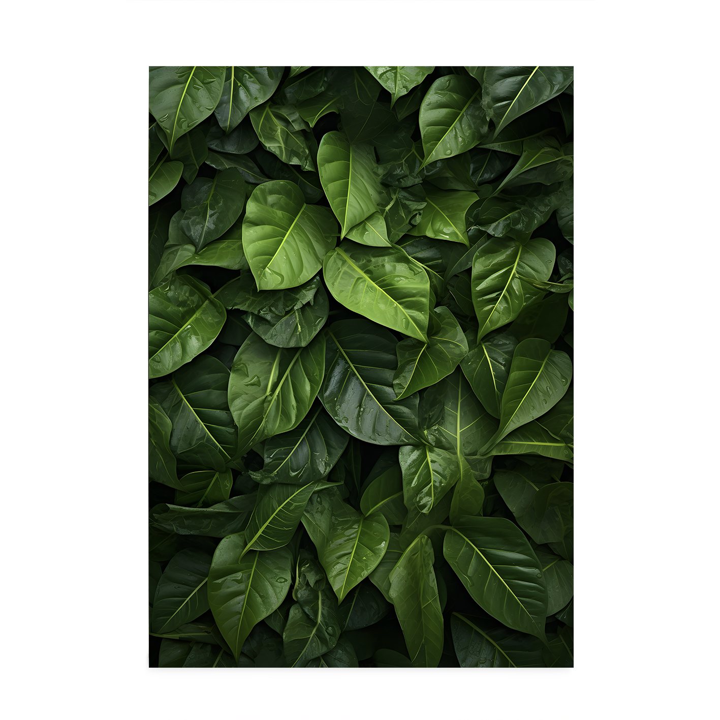 Layered Leaves 4 Flora FOLHAGENS_24 - Image 7