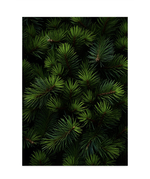 Fir Tree Flora FOLHAGENS_26 - Image 7