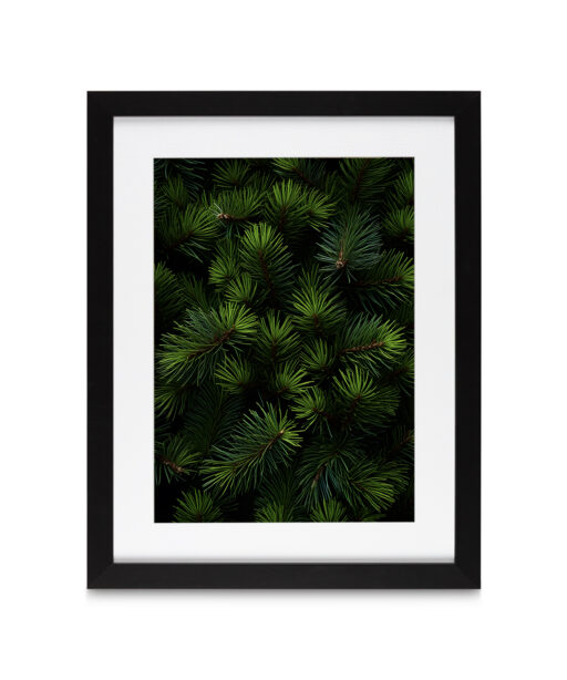 Fir Tree Flora FOLHAGENS_26 - Image 4