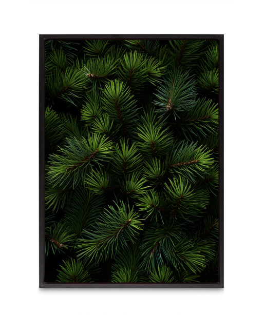 Fir Tree Flora FOLHAGENS_26 - Image 8