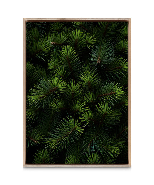 Fir Tree Flora FOLHAGENS_26 - Image 5