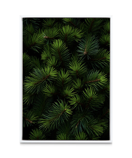 Fir Tree Flora FOLHAGENS_26 - Image 6