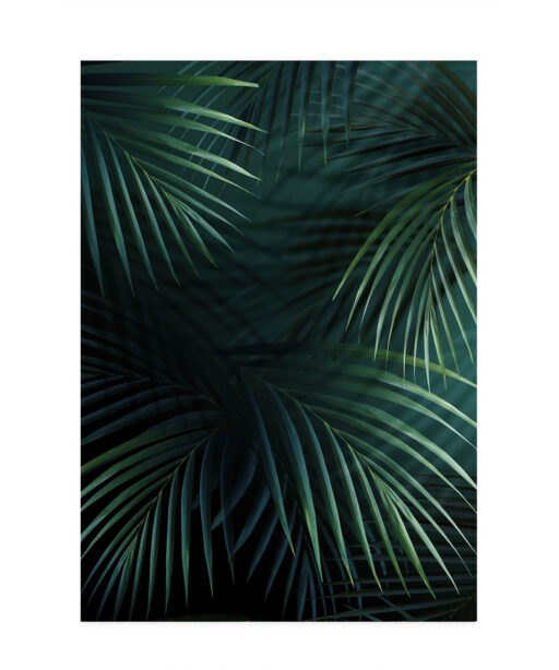 Shadowed Fronds Flora FOLHAGENS_27 - Image 7