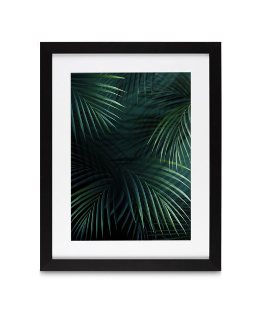 Shadowed Fronds Flora FOLHAGENS_27 - Image 4