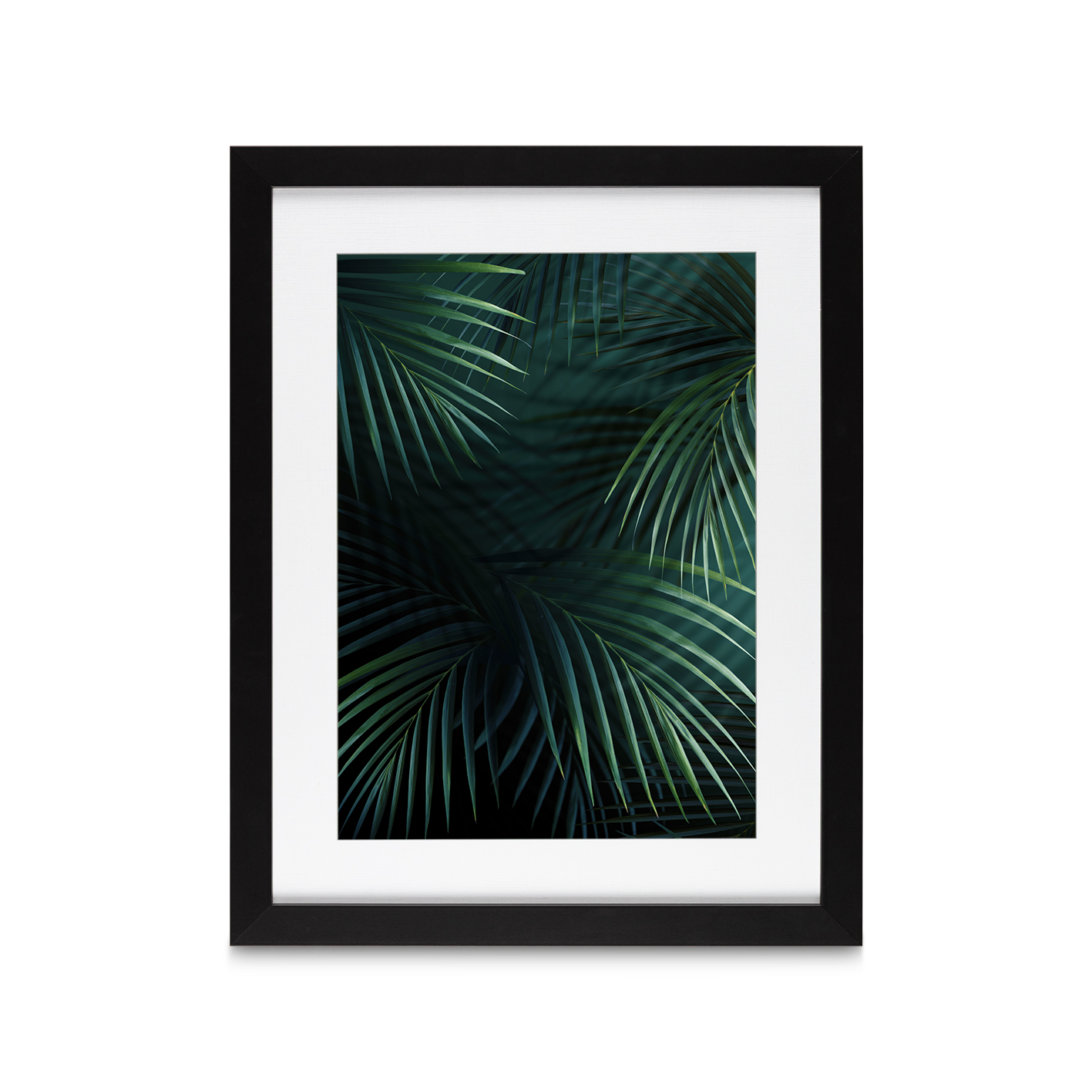 Shadowed Fronds Flora FOLHAGENS_27 - Image 4