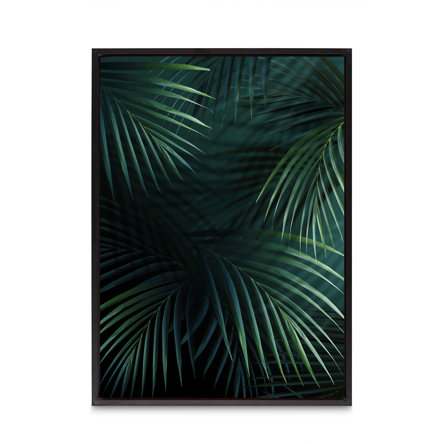 Shadowed Fronds Flora FOLHAGENS_27 - Image 8