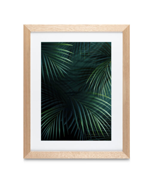 Alternative view of Shadowed Fronds Flora FOLHAGENS_27