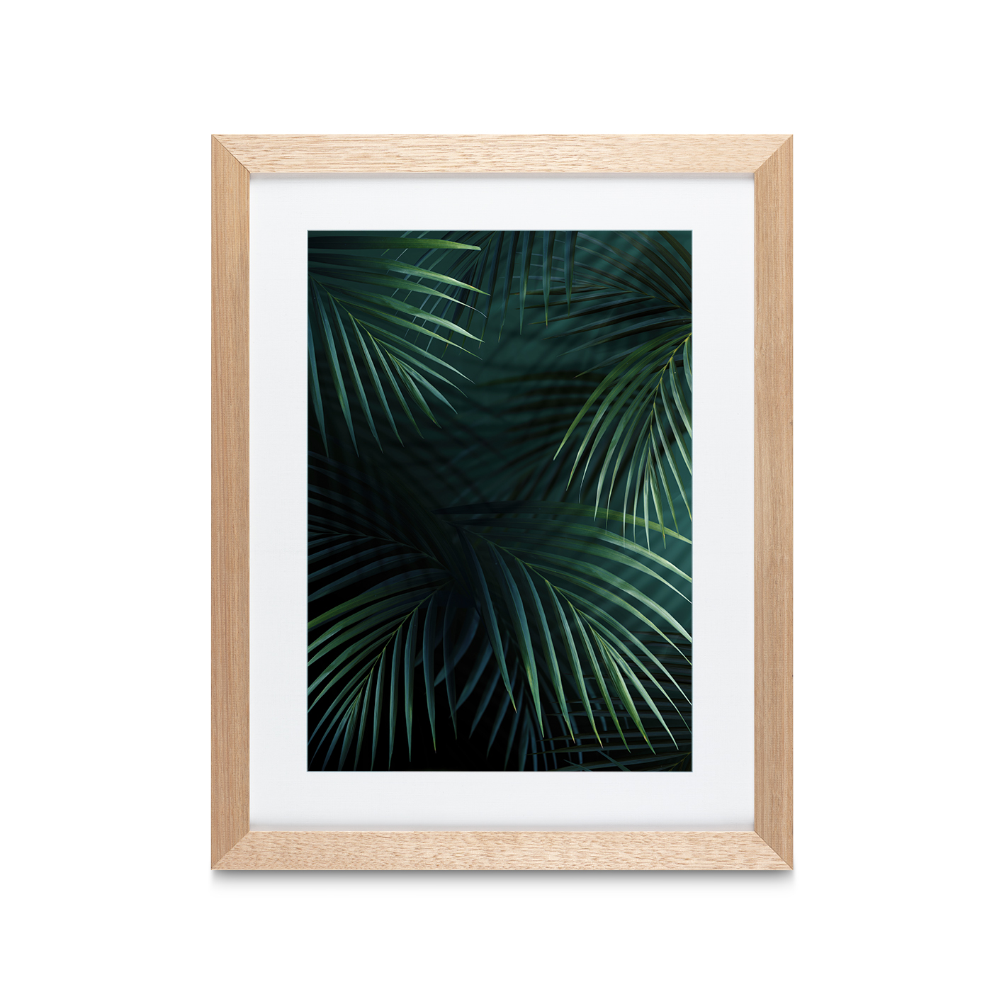 Shadowed Fronds Flora FOLHAGENS_27 - Image 2