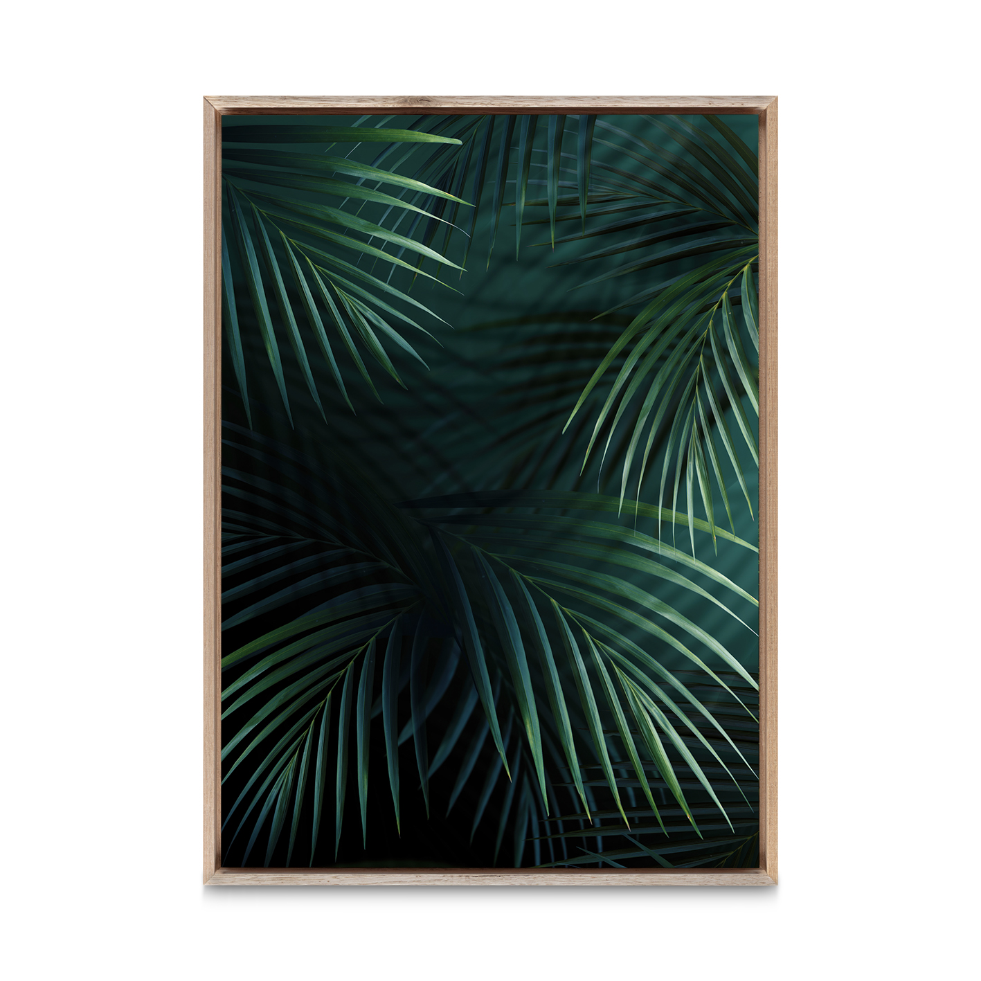 Shadowed Fronds Flora FOLHAGENS_27 - Image 5