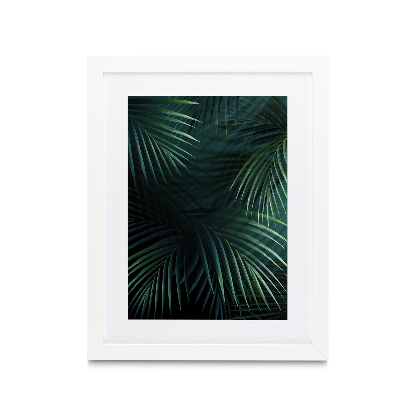 Shadowed Fronds Flora FOLHAGENS_27 - Image 3