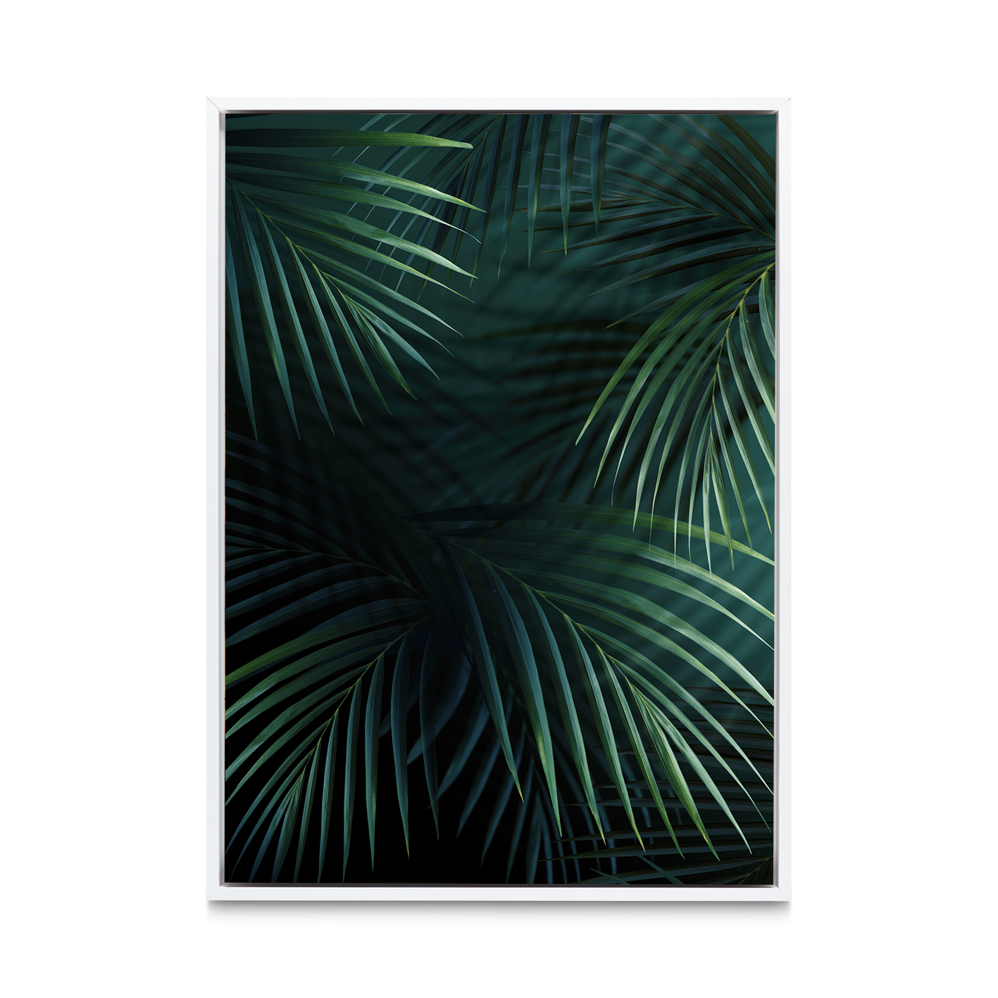 Shadowed Fronds Flora FOLHAGENS_27 - Image 6