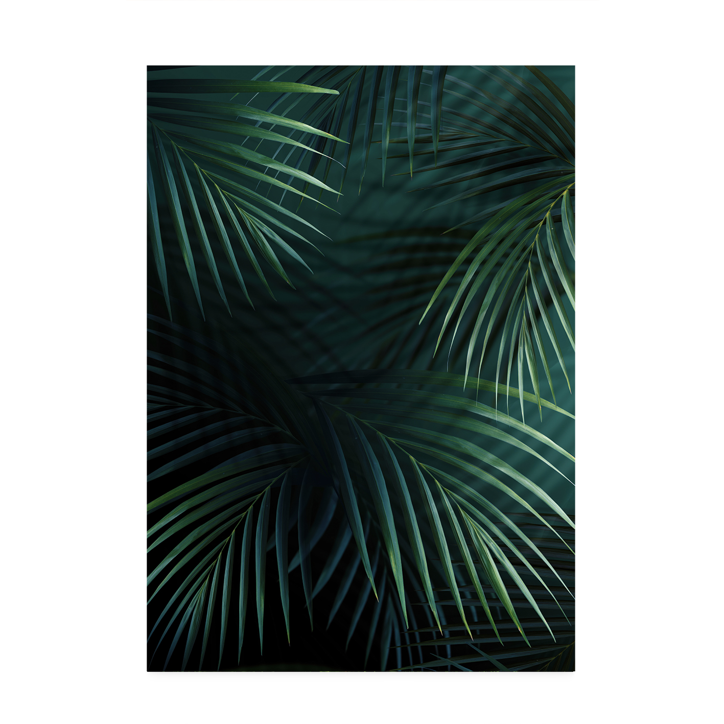 Shadowed Fronds Flora FOLHAGENS_27 - Image 7