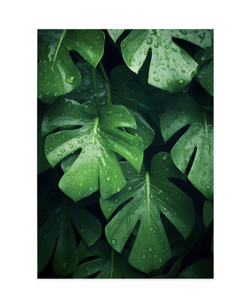 Monstera Leaf 2 Flora FOLHAGENS_4 - Image 7