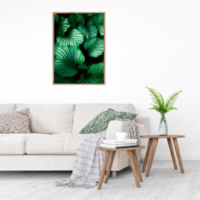 Green Leaf Flora FOLHAGENS_01