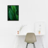 Banana Leaves Flora FOLHAGENS_07