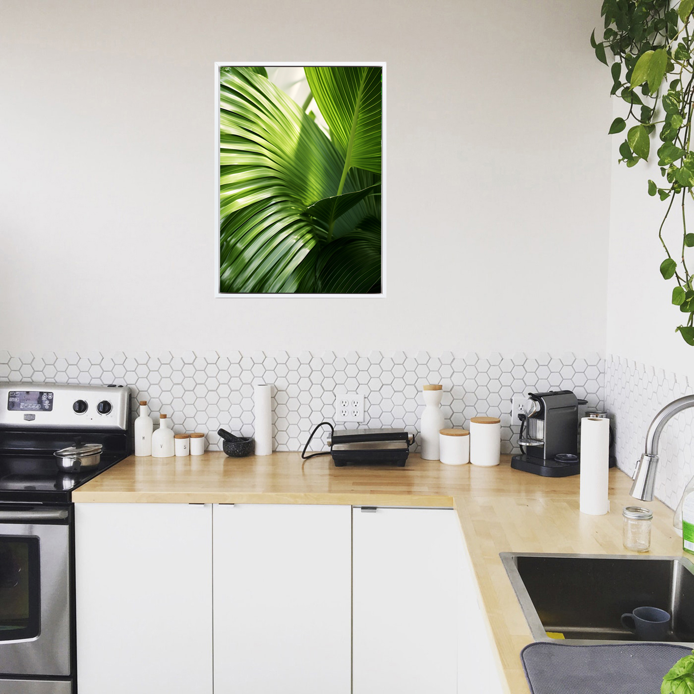 Green Palm Fronds Flora FOLHAGENS_09