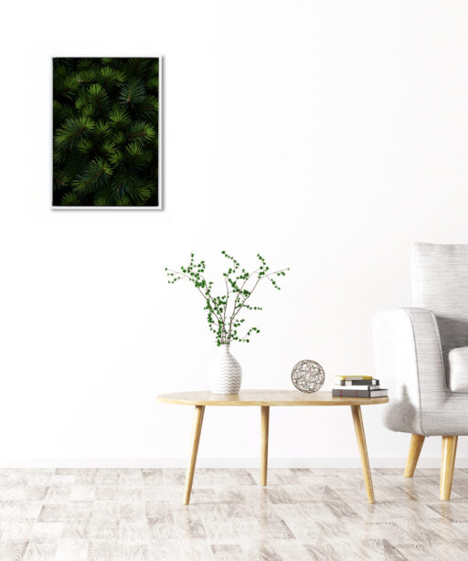 Fir Tree Flora FOLHAGENS_26