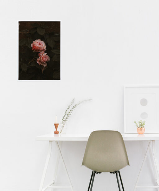 Pink Roses on Black Floral FLORES_010