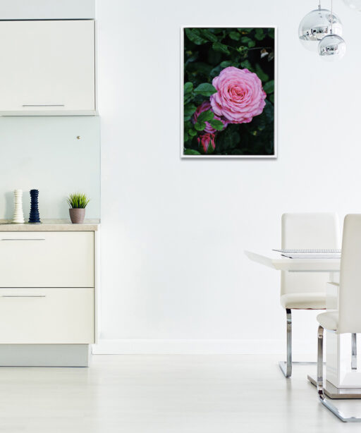Pink Rose Floral FLORES_019