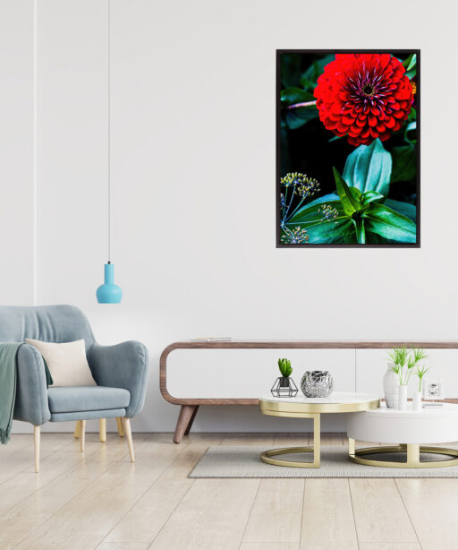 Giant Zinnia Floral FLORES_023